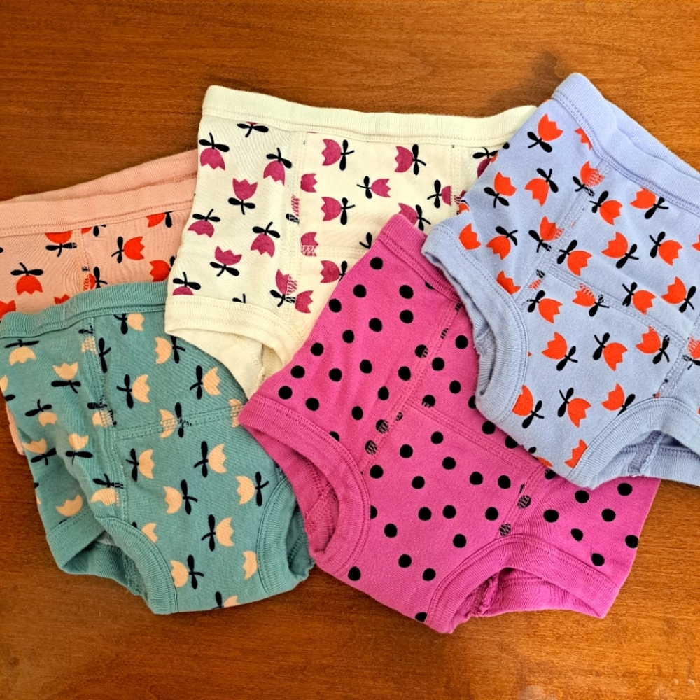 Hanna Andersson training underwear size XS